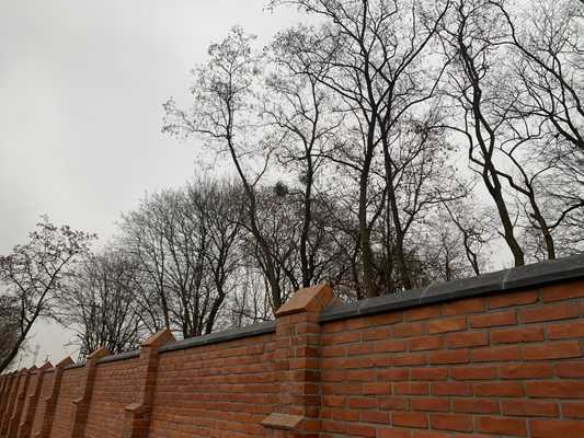 Bambusarium pod Warszawą